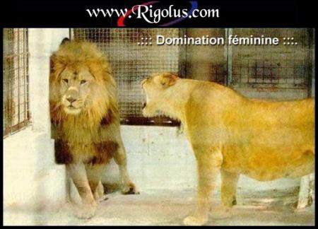 domination féminine